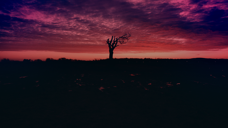 heaven_in_her_arms cover.jpg
